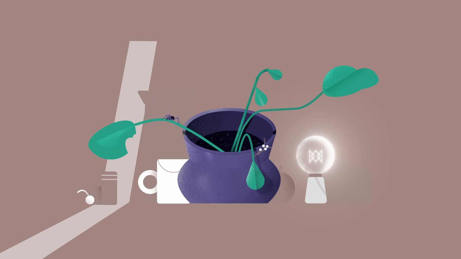 Seed & Stem — still frame